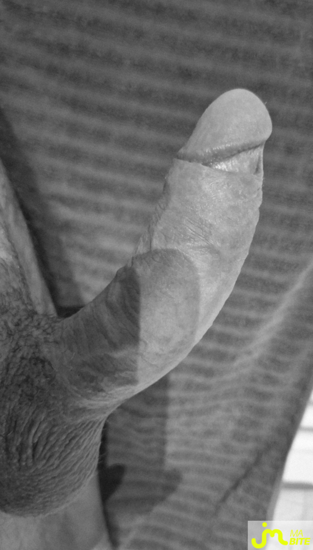 bites de 4plaisir66