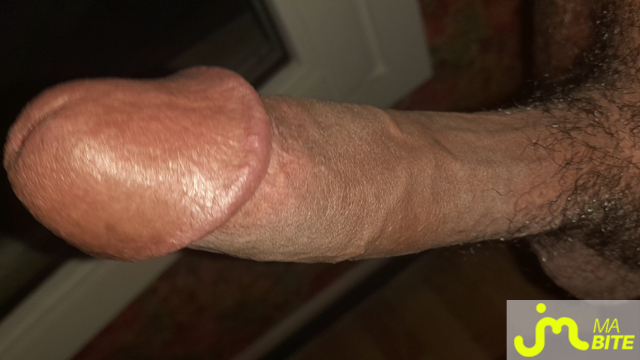 bites de &Eacute;rictismey