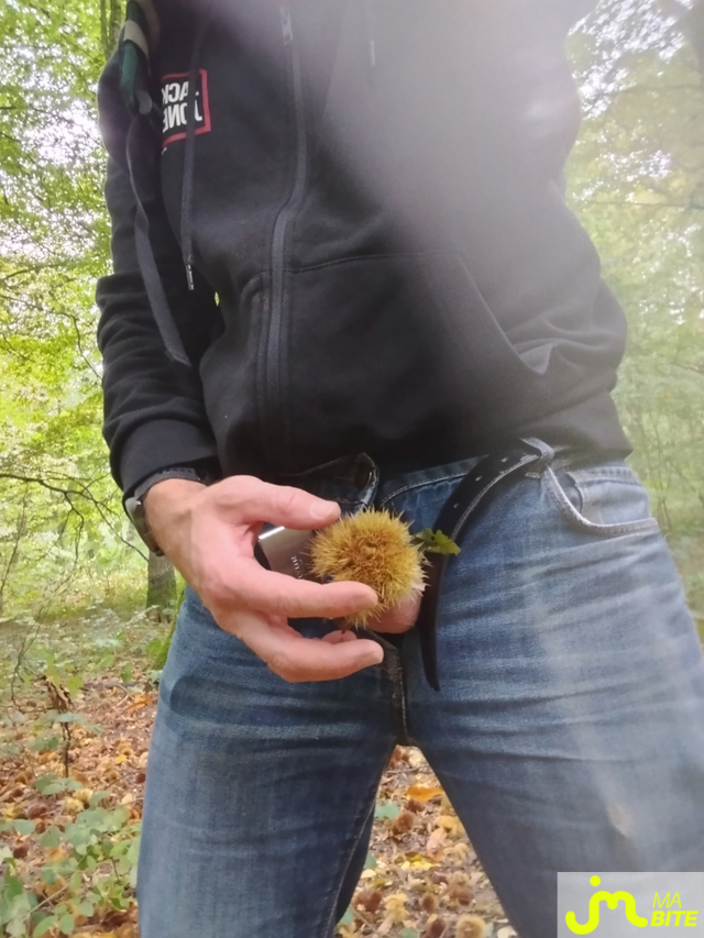 bites de trounormand
