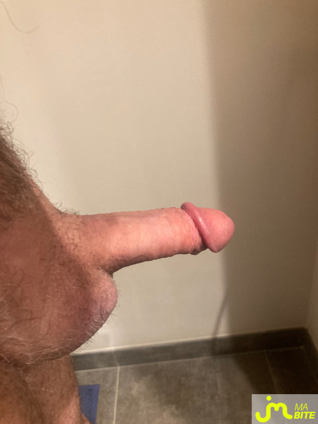 bites de Mortimer 12