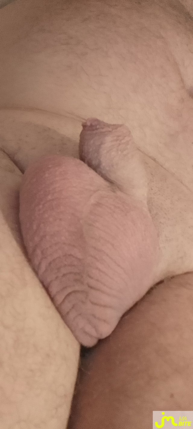 Photos de bites :  En attendant...