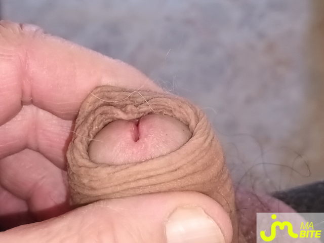 Photos de bites : Vos photos m'excite 