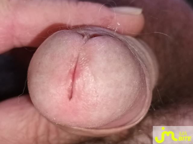 bites de Miam 12