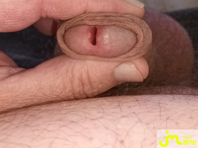 bites de Miam 12