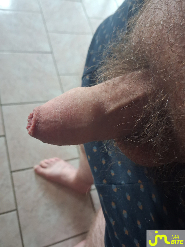 bites de Normanddu14