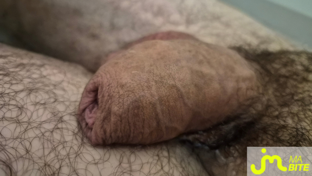 Photos de bites : au repos dans son bain