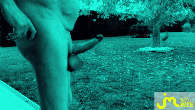 bites de Vxm&acirc;lebi46