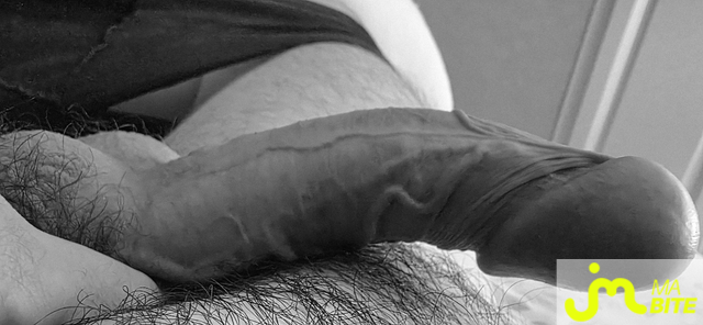 bites de bite_&ocirc;_veines